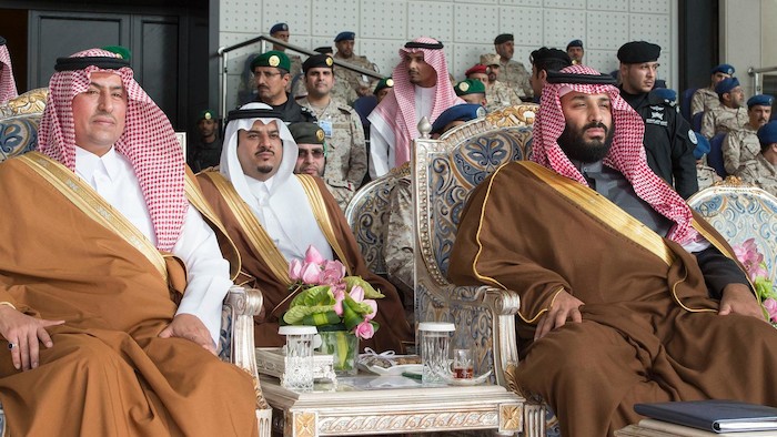 الأمير محمد بن سلمان رعي
